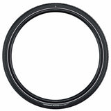 Schwalbe Motion Big Apple RaceGuard