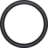 Schwalbe Road Cruiser K-Guard