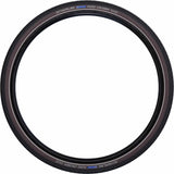 Schwalbe Road Cruiser K-Guard