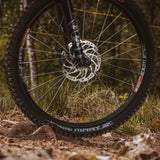 Schwalbe Magic Mary Radial TLE Folding