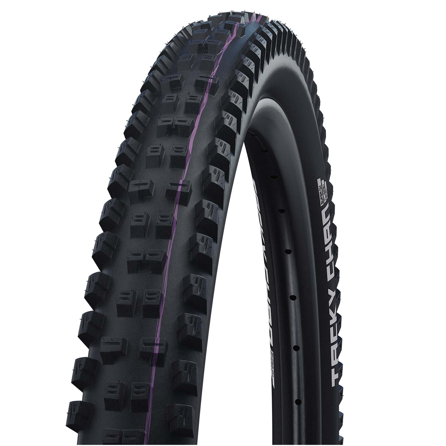 Schwalbe Tacky Chan Evo Super Ground Folding TLE