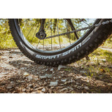 Schwalbe Smart Sam Performance E-25