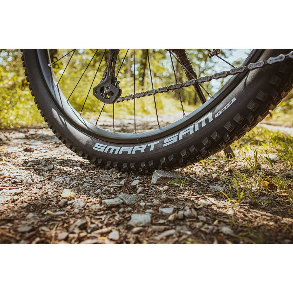 Schwalbe Smart Sam Performance Folding