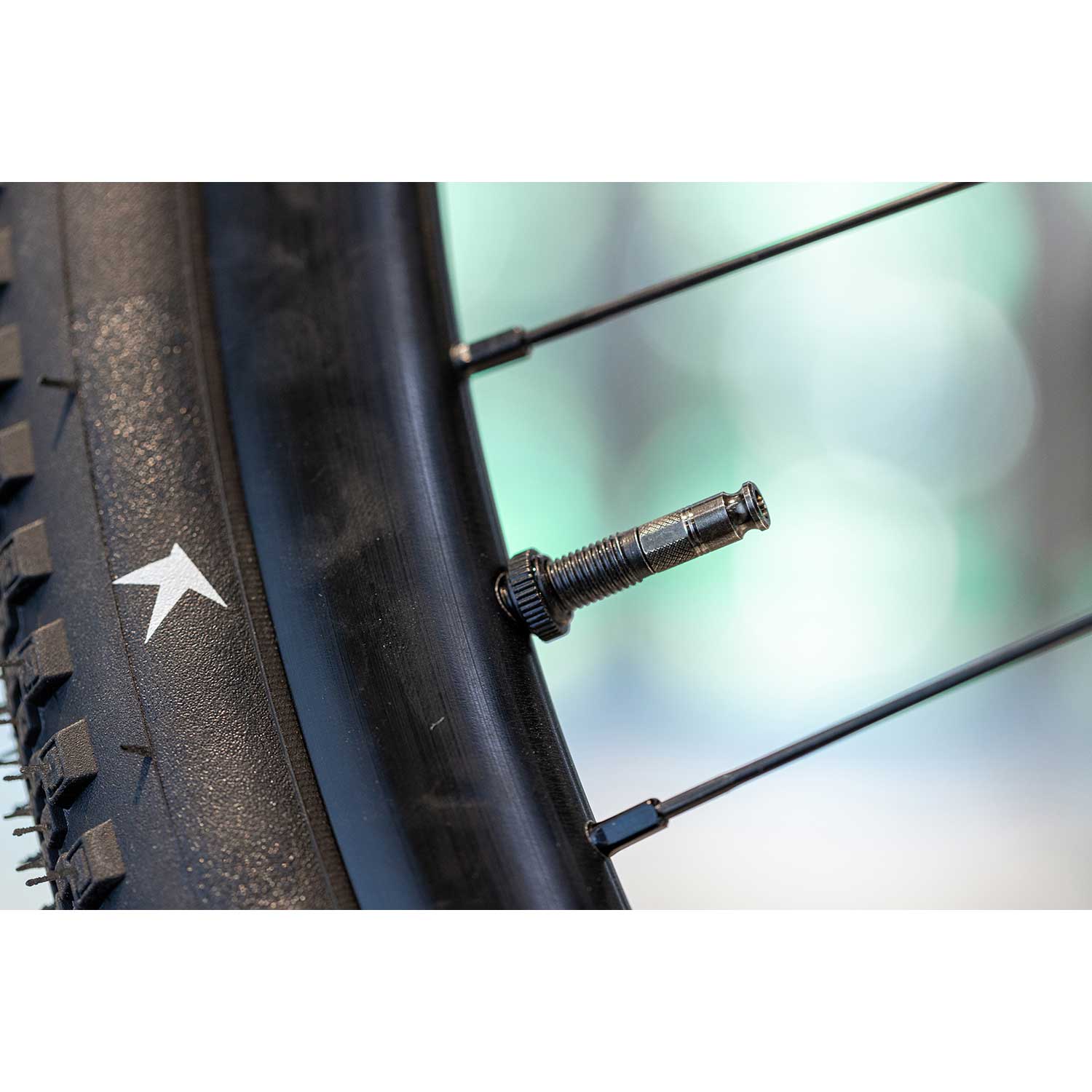 Schwalbe Clik Valve Tubeless Presta Valves