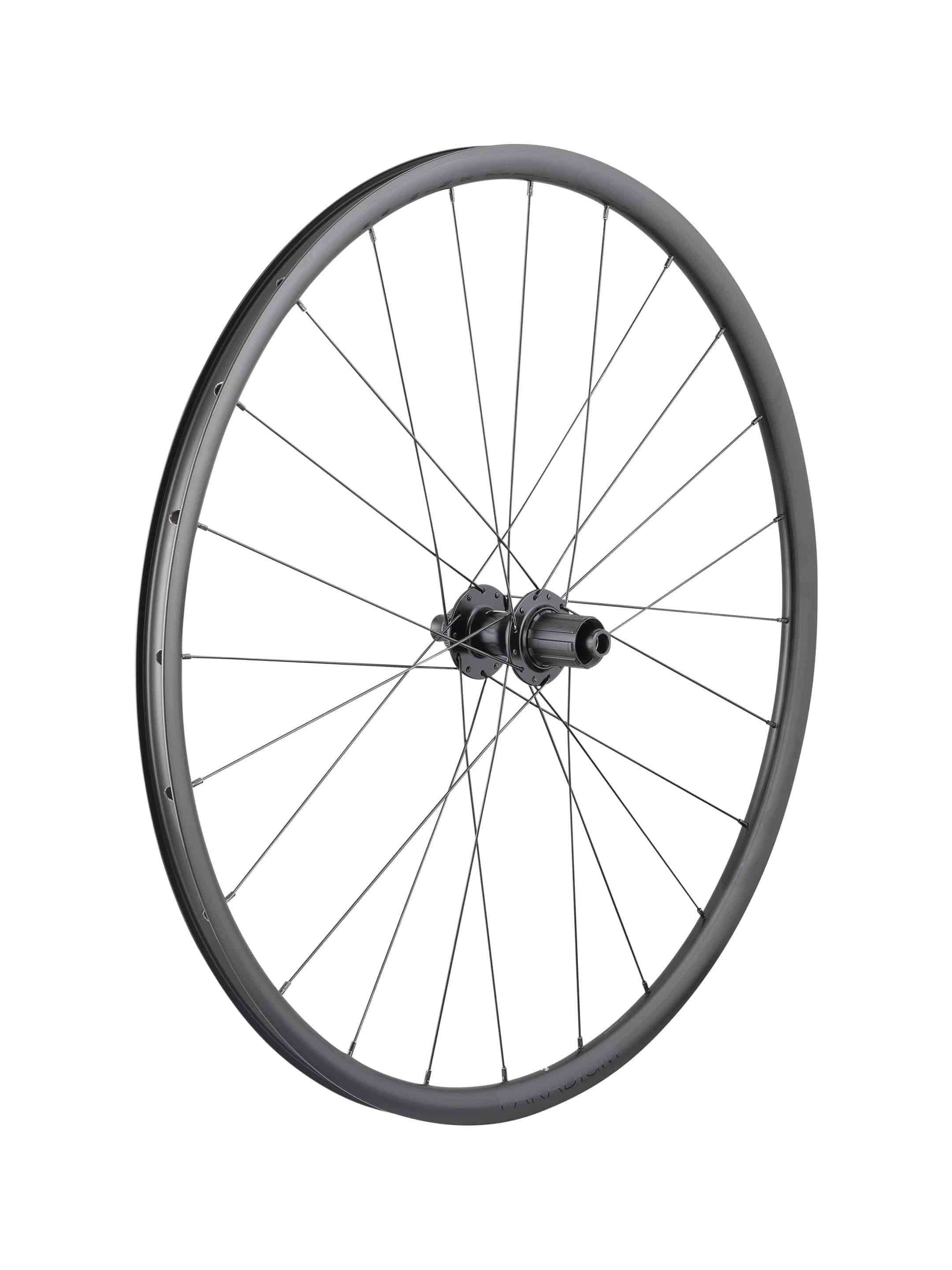 Bontrager Paradigm SL 700C road wheels with centerlock disc, 24-hole, lightweight and stiff for high-speed cycling.