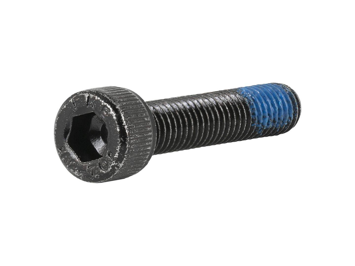 Trek Frame Parts M5x0 8mm Socket Head Cap Screws | Swinnerton Cycles