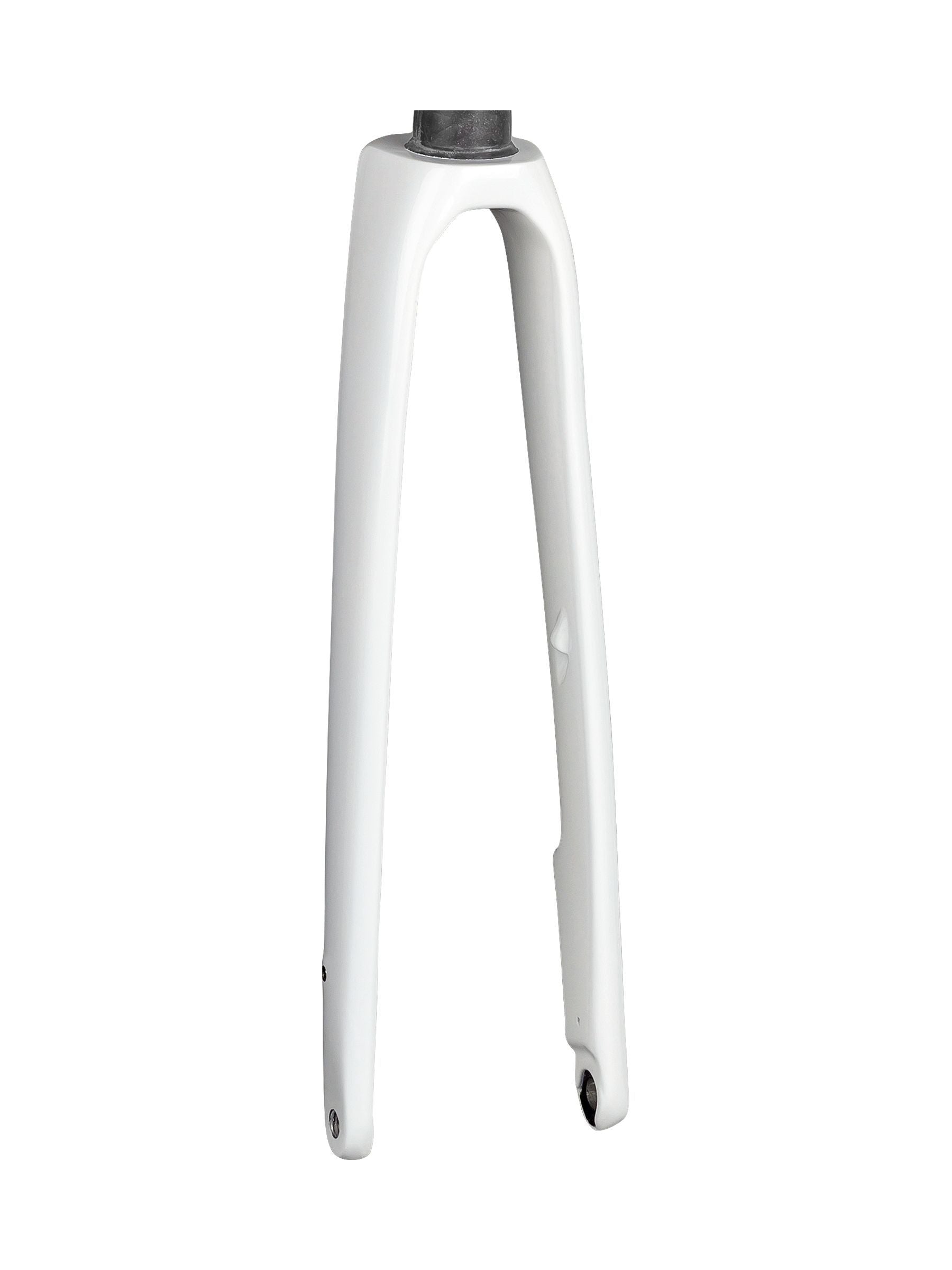 Trek Domane SL 6 700C road bike forks, lightweight components for precise steering and control on Trek racing bicycle.