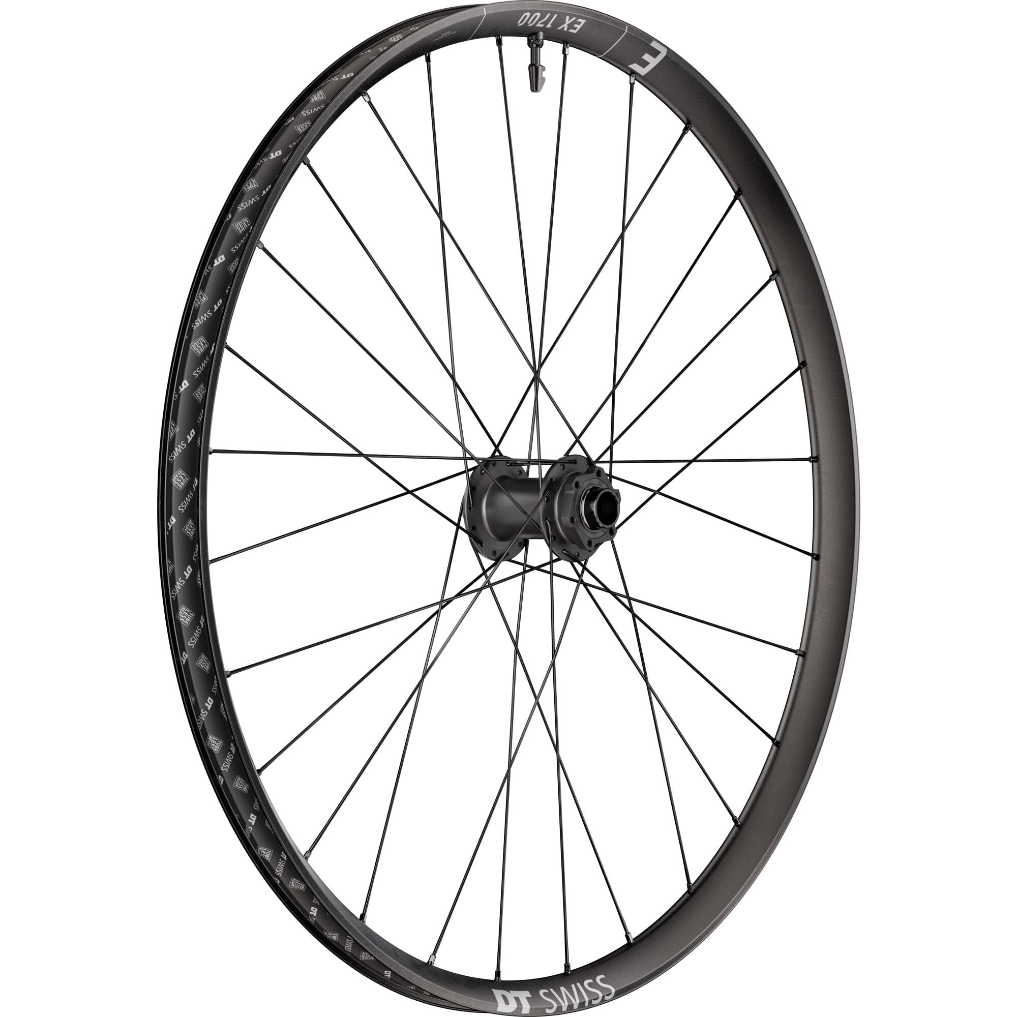 DT Swiss EX 1700 29-inch front mountain bike wheel with 30mm rim and 20x110mm BOOST axle, shown from the side.