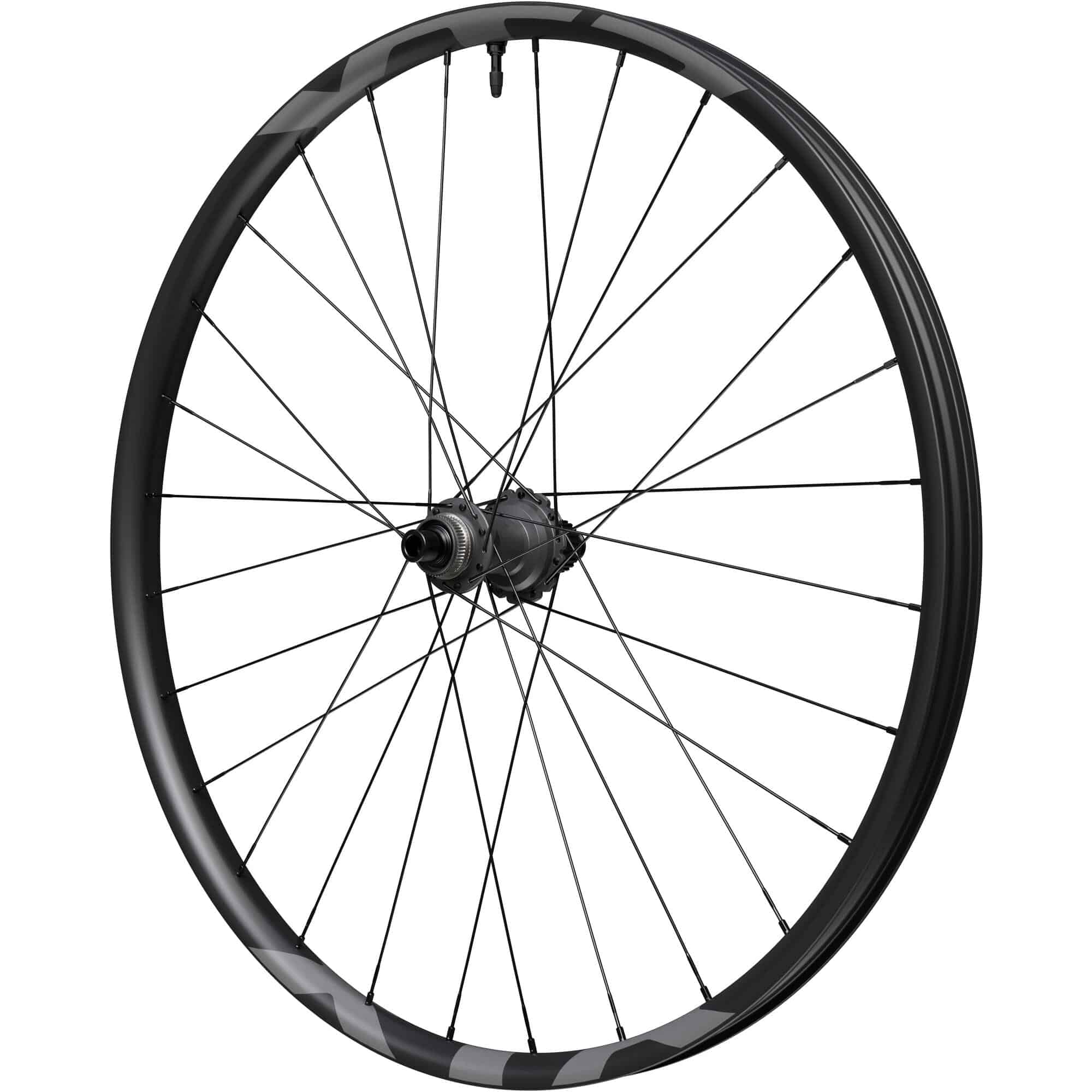 Shimano XTR M9220 29-inch rear MTB wheel with 12-speed 12x148mm center lock disc, mountain bike components, side view