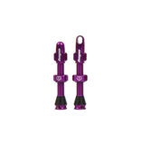 hope tubeless tubeless valve pair p129905