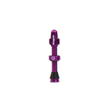 Hope tubeless valve with removable Presta core for tubeless wheels, showcasing a sleek metal component for bicycle wheels.