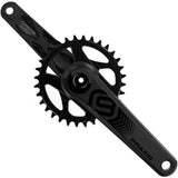 Praxis Works CS MTB DH9 downhill crank arms in 165mm length, durable components for gravity riding and mountain biking.