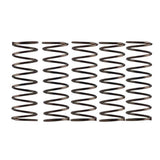 Campagnolo Pre 2004 L/End F/Hub P/Spring Hub Spares | Swinnerton Cycles