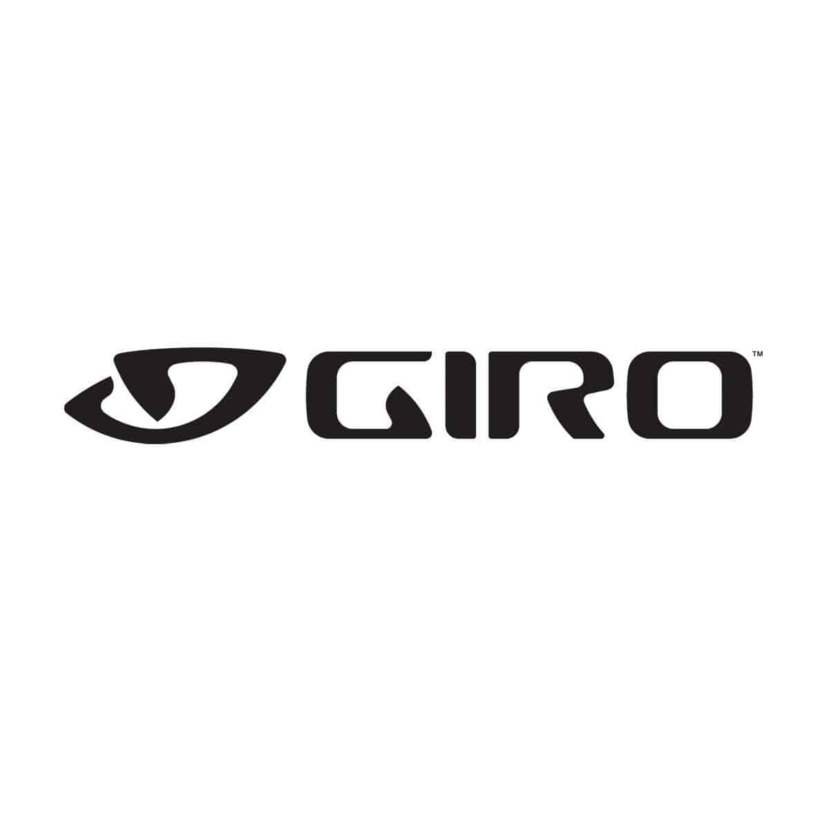 Giro Boa L6 Dial E Type replacement for footwear, black adjustable fit system with dial and strap closure.