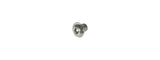 Silver Trek carbon MTB derailleur hanger button head bolt for bike components, designed for lightweight carbon frames.