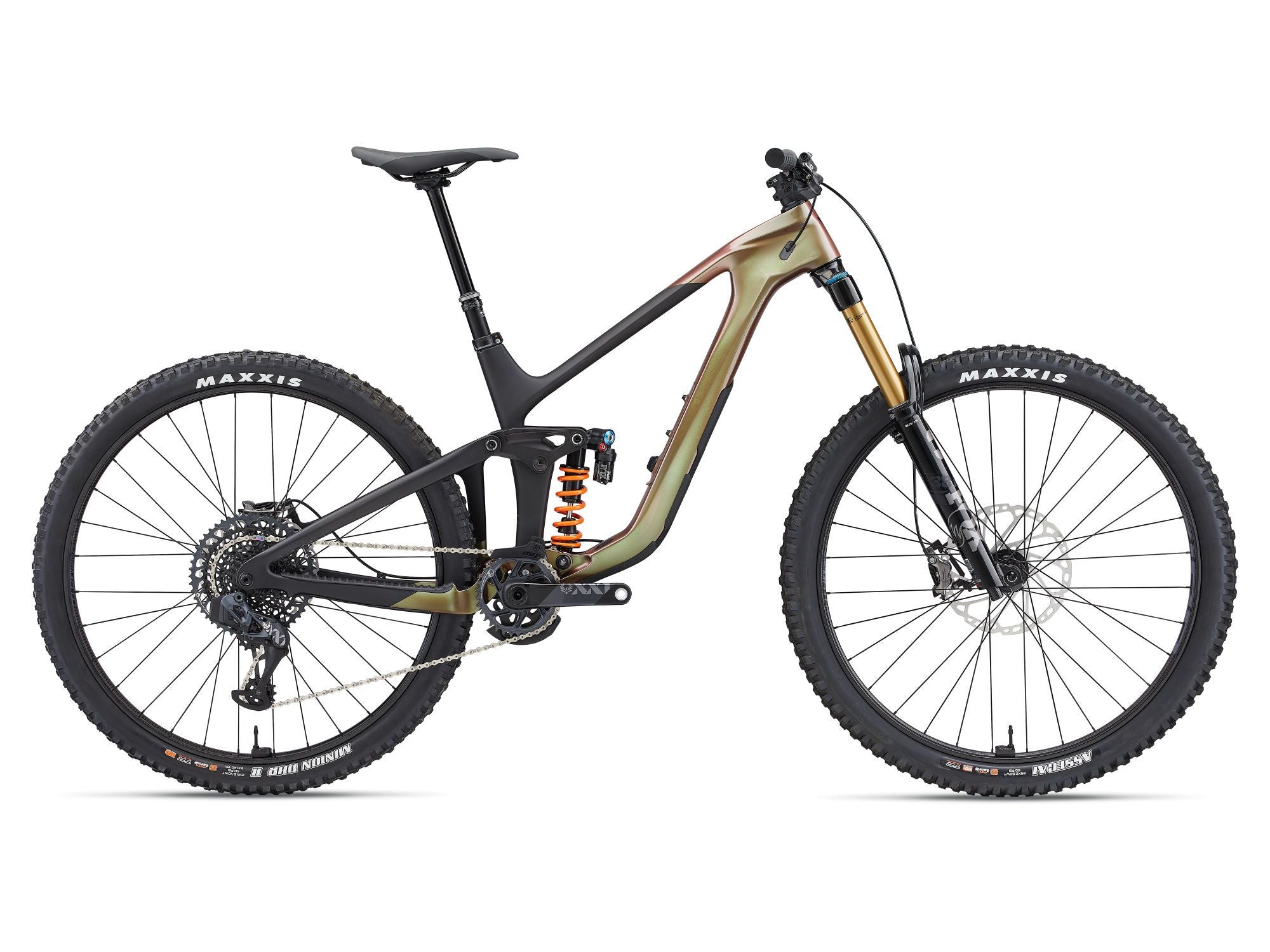 Giant Reign Advanced Pro 0 Mountain Bike | Swinnerton Cycles
