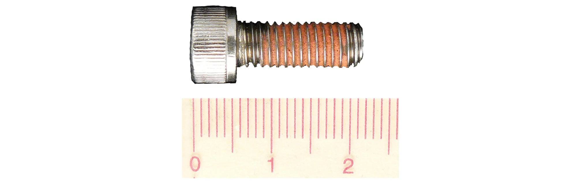 Trek Disc Brake Adapter Mounting Bolt Stainless M6 x 16mm | Swinnerton Cycles