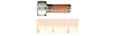 Trek Disc Brake Adapter Mounting Bolt Stainless M6 x 16mm | Swinnerton Cycles