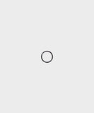 Fox O-Ring (Single) | Swinnerton Cycles