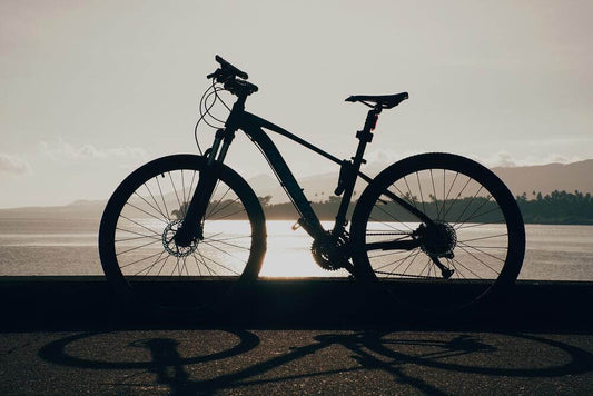 Choosing the best bike frame size: with examples from Trek and Basso