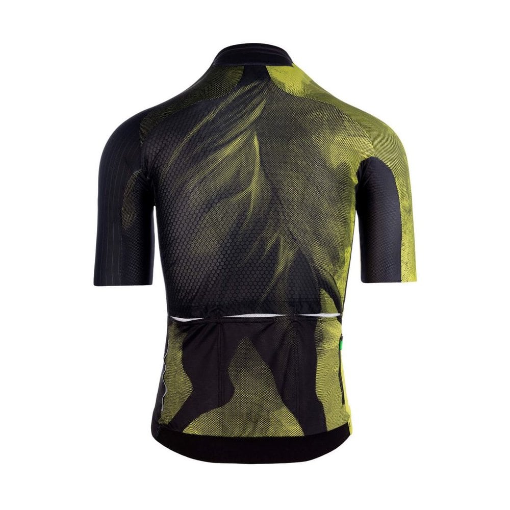 Q36.5 Jersey Shortsleeve R2