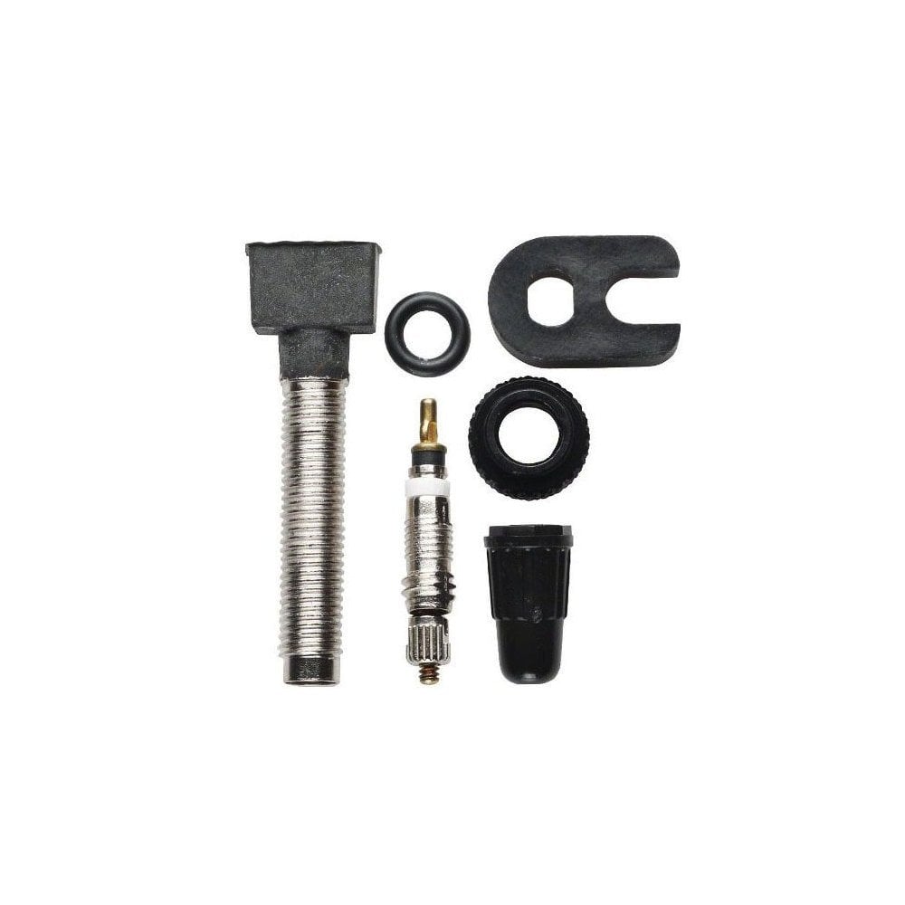 Campagnolo 2-Way Fit Tubeless Valve Pr Wheel Spares