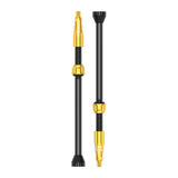 Lezyne Cnc Tlr Valves (Pair) 80Mm Tubeless