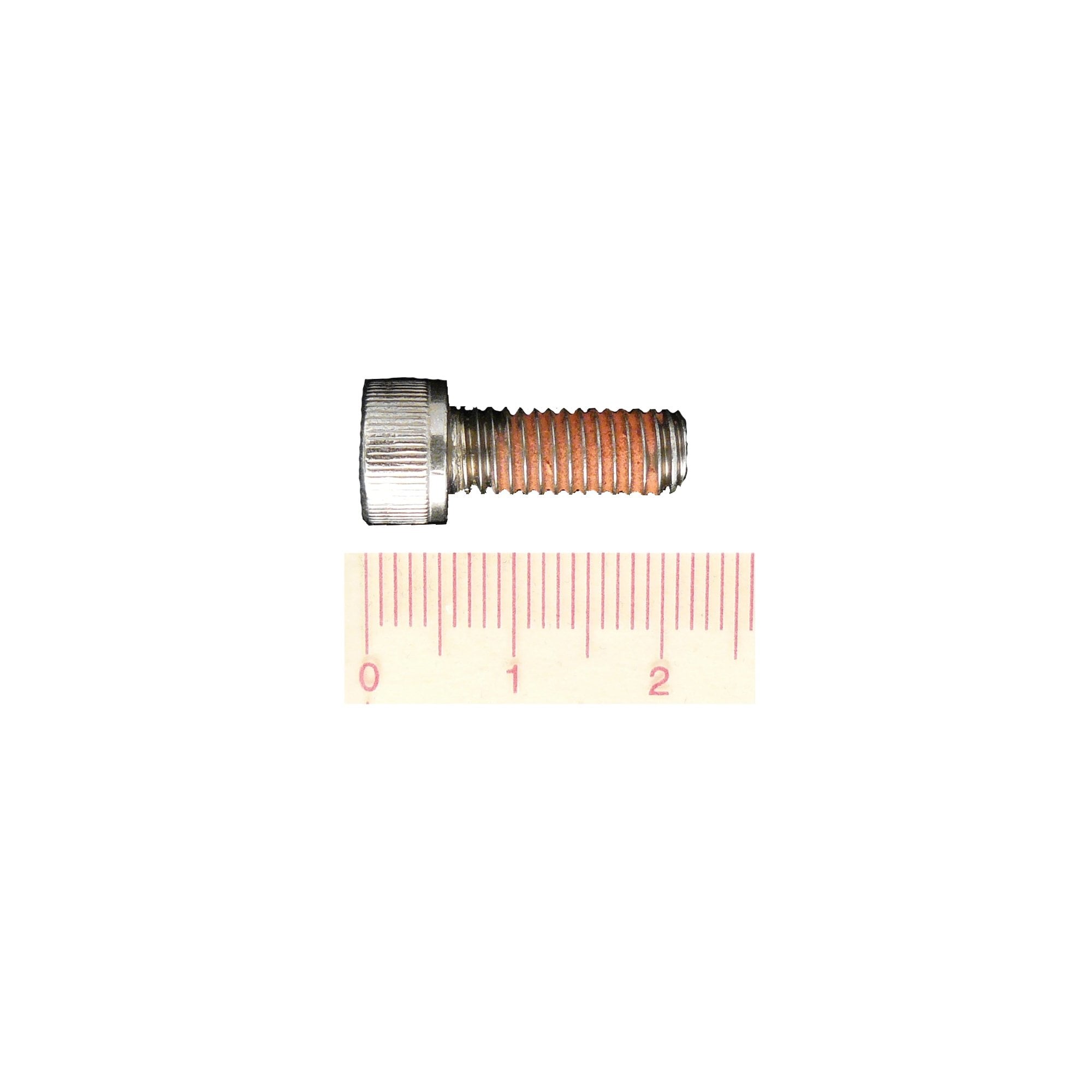 Trek Brake Part Fisher 01 New Intl Disc Mount Bolt M6X1X16 Mm Spares & Accessories