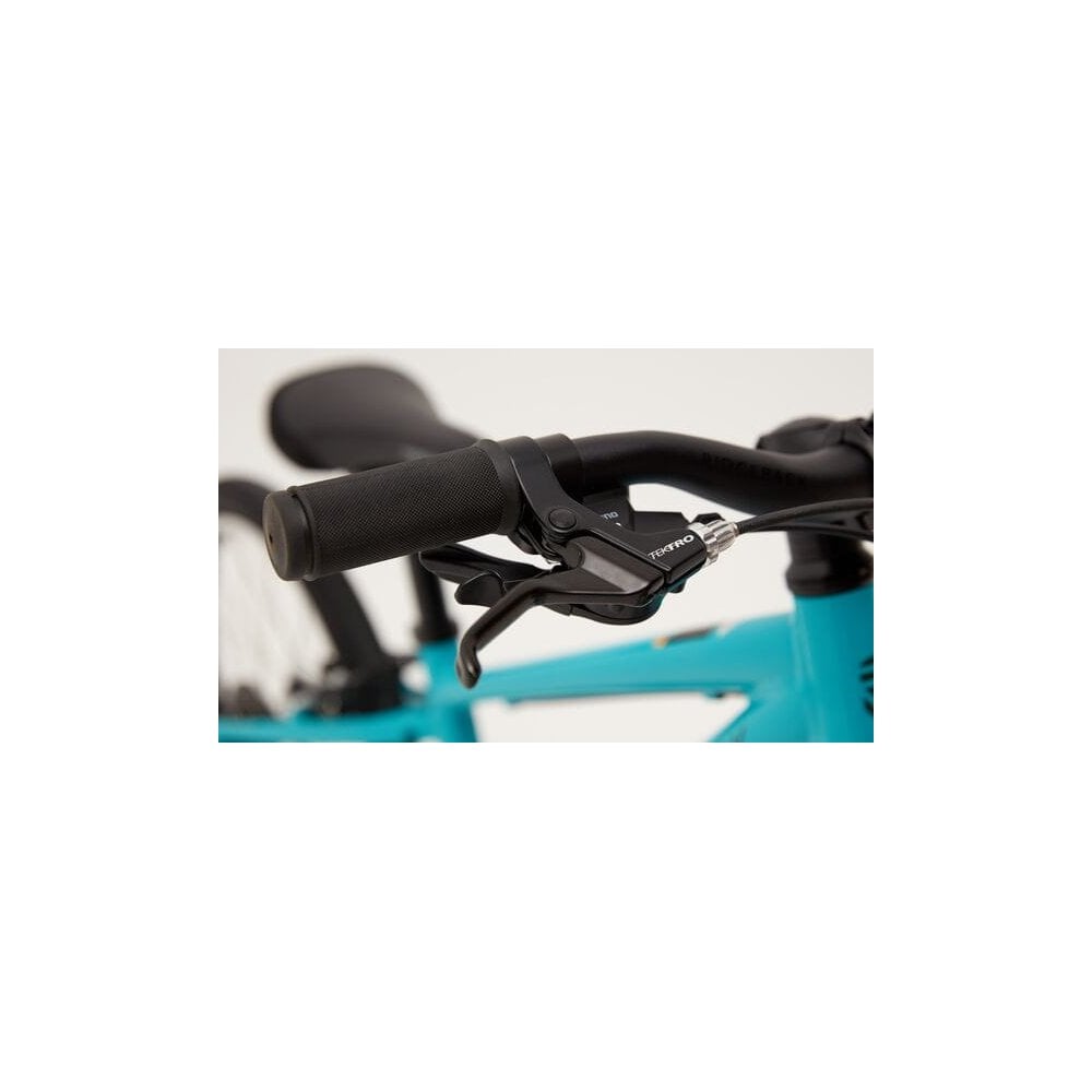 Ridgeback Dimension 20 Childs Bike