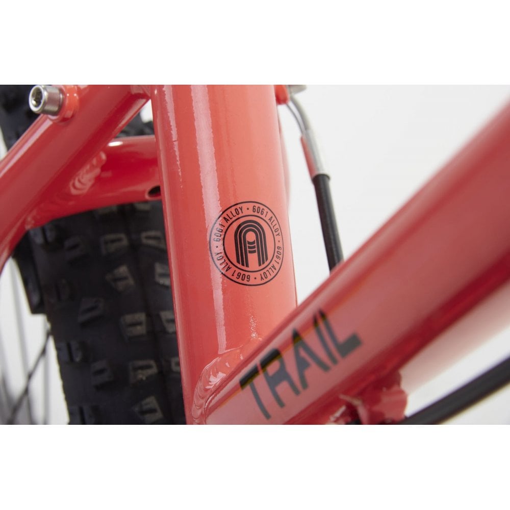 Adventure Trail Step Through Mountain Bike