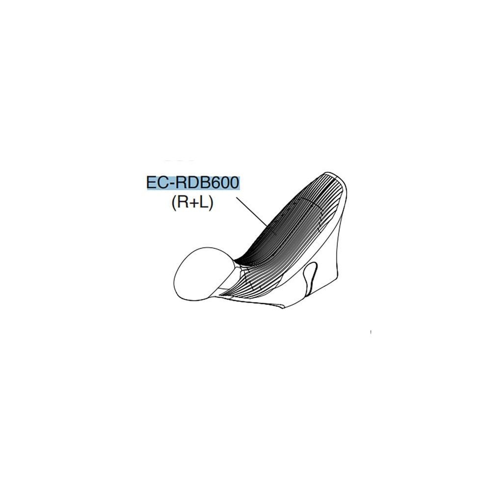Campagnolo 12X Disc Record Ergopower Hoods Road Shifters