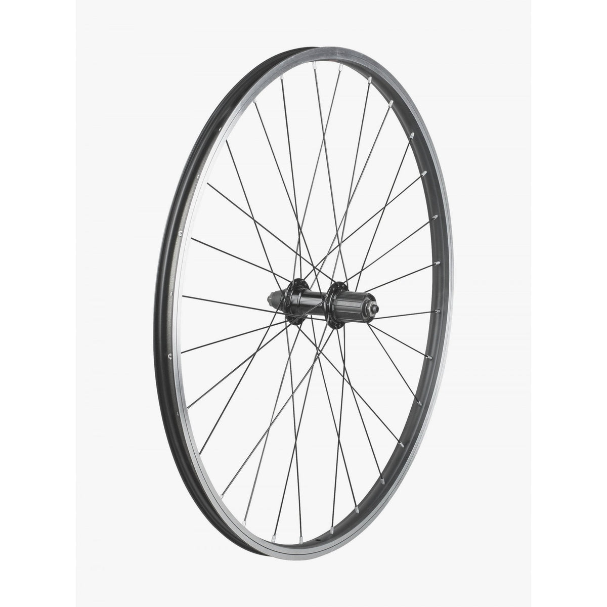 Trek Kids 26"" Wheels