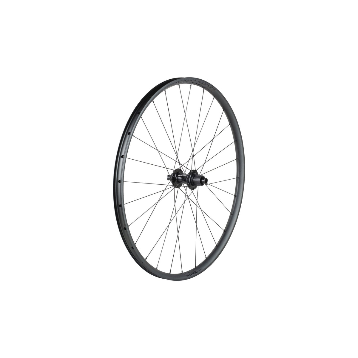 Bontrager Wheel Line 30 29 28H Wheel