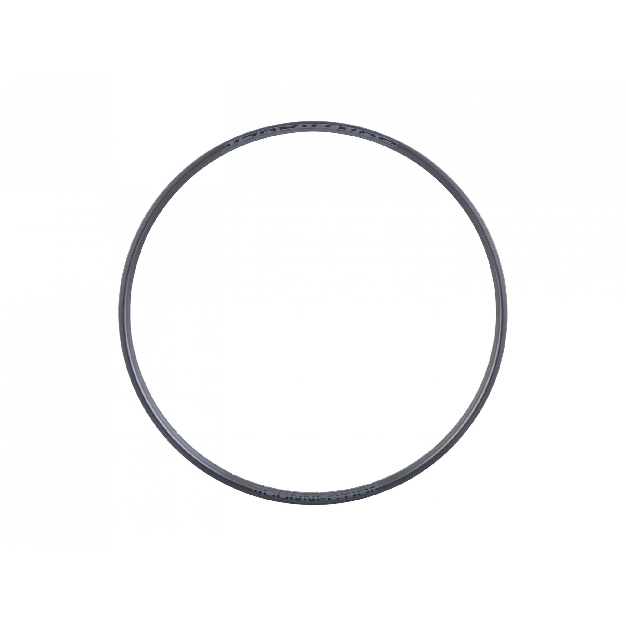 Bontrager Rim Connection 29 Disc Presta Valve Rim
