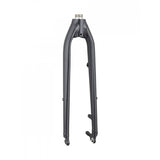 Trek Rigid Trek Verve+ 3 Disc Teal Forks