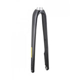 Trek 2021 Domane Al 4 700C Disc Forks