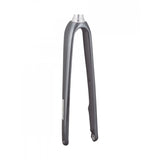 Trek 2021 Domane Al 5 700C Disc Forks