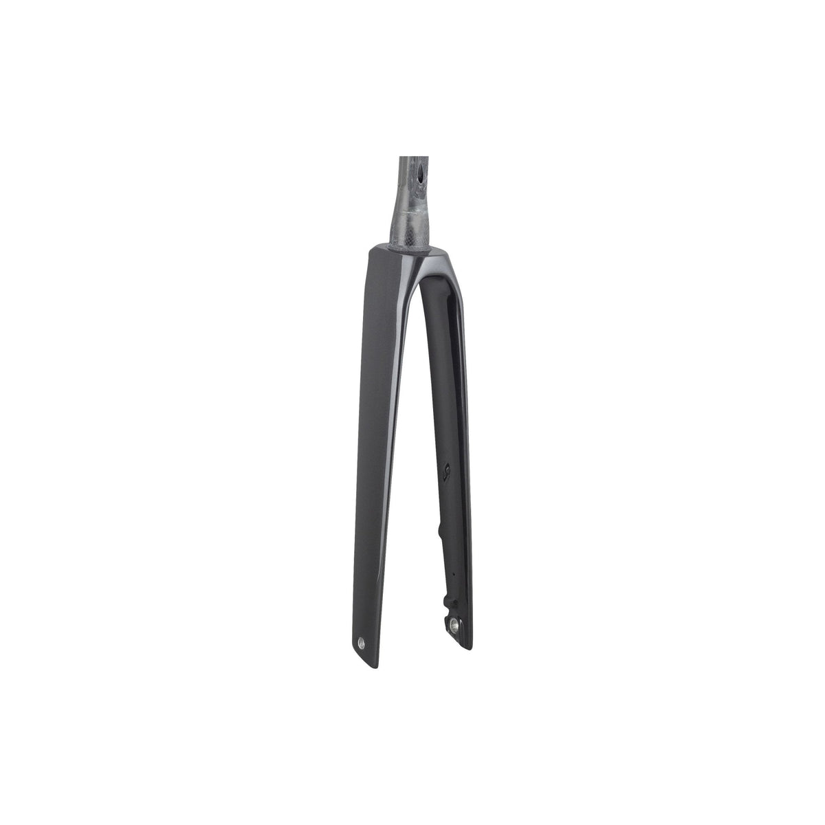 Trek 2023 Madone Sl6 Forks