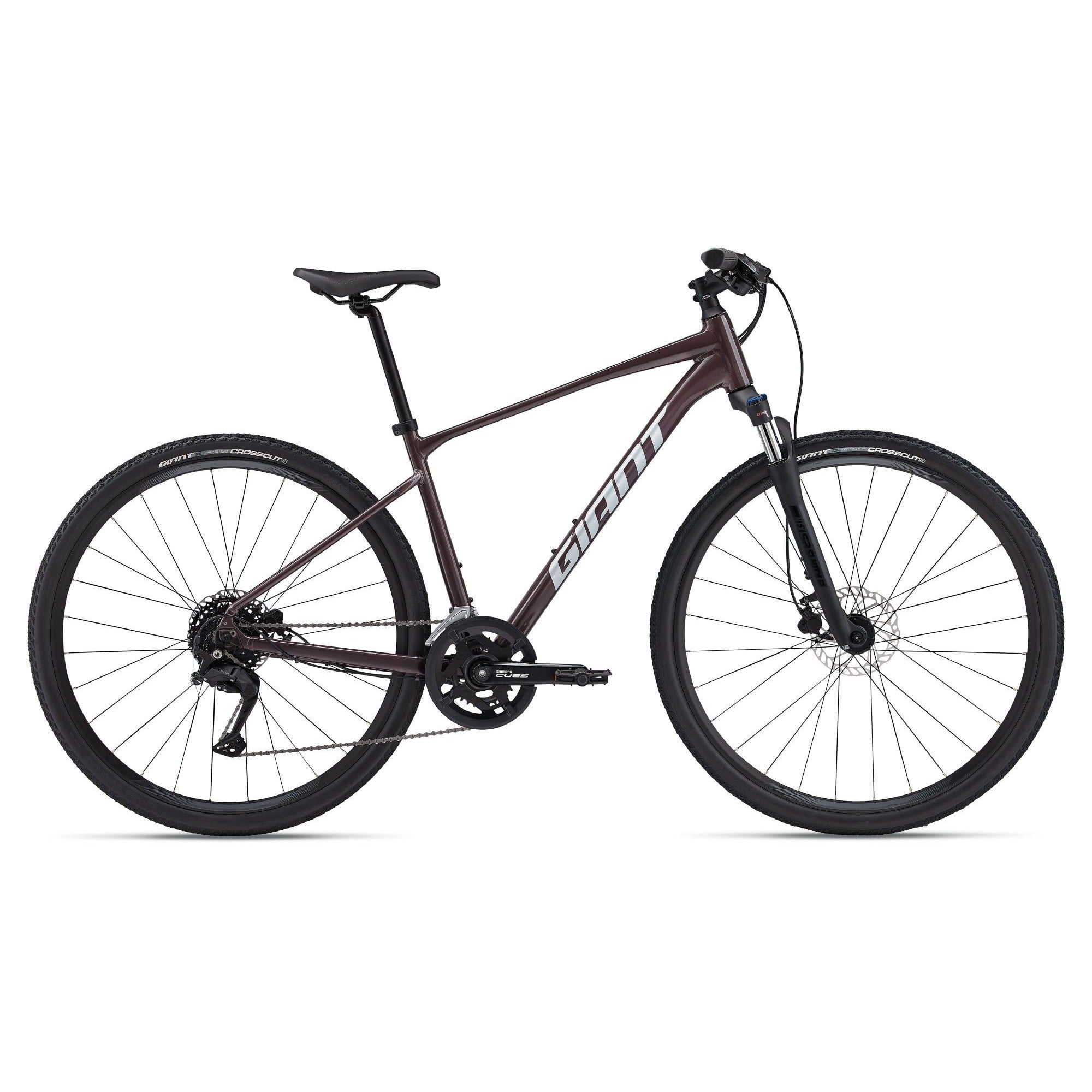 Giant Roam Disc 2 Hybrid Bike