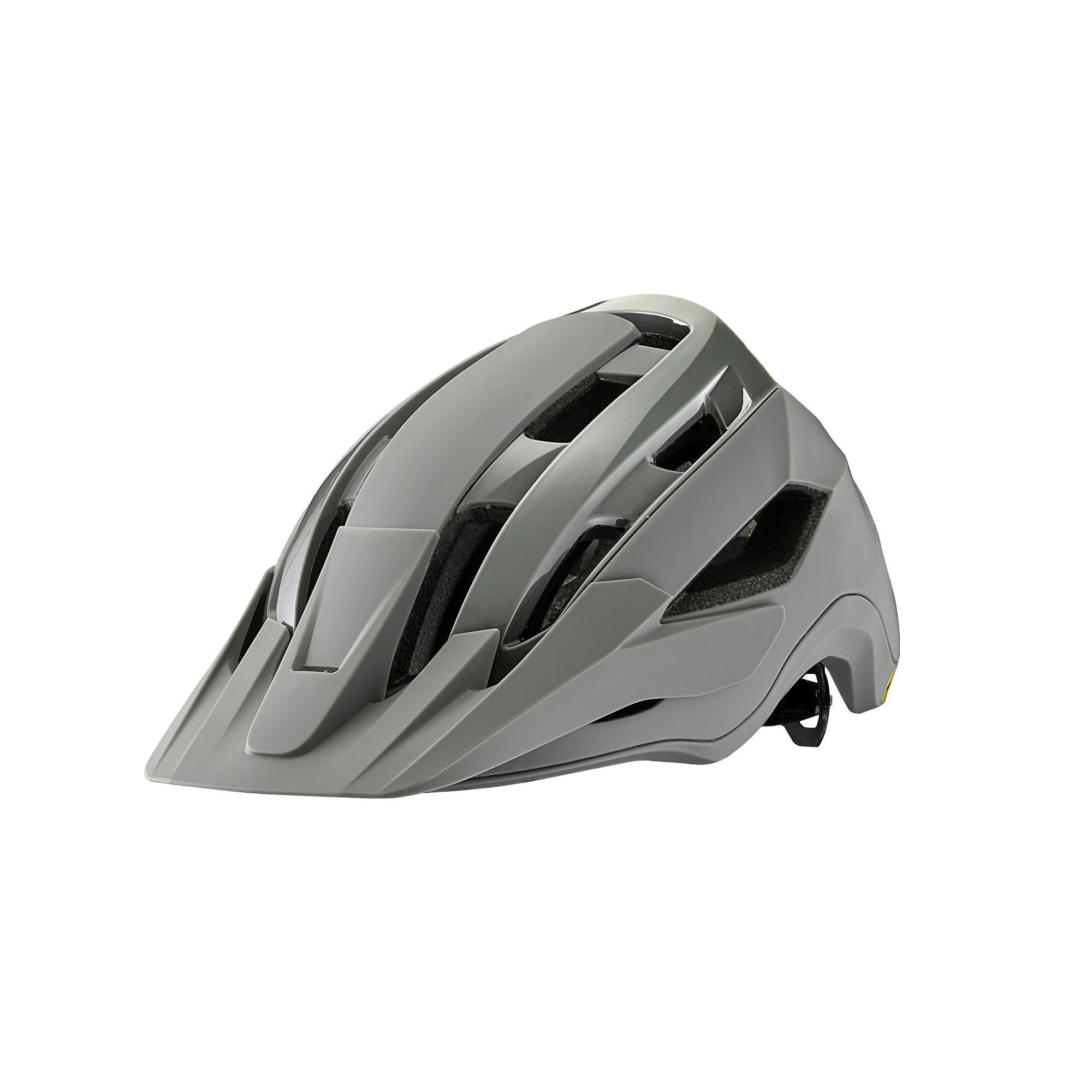 Giant Rail Mips Helmet