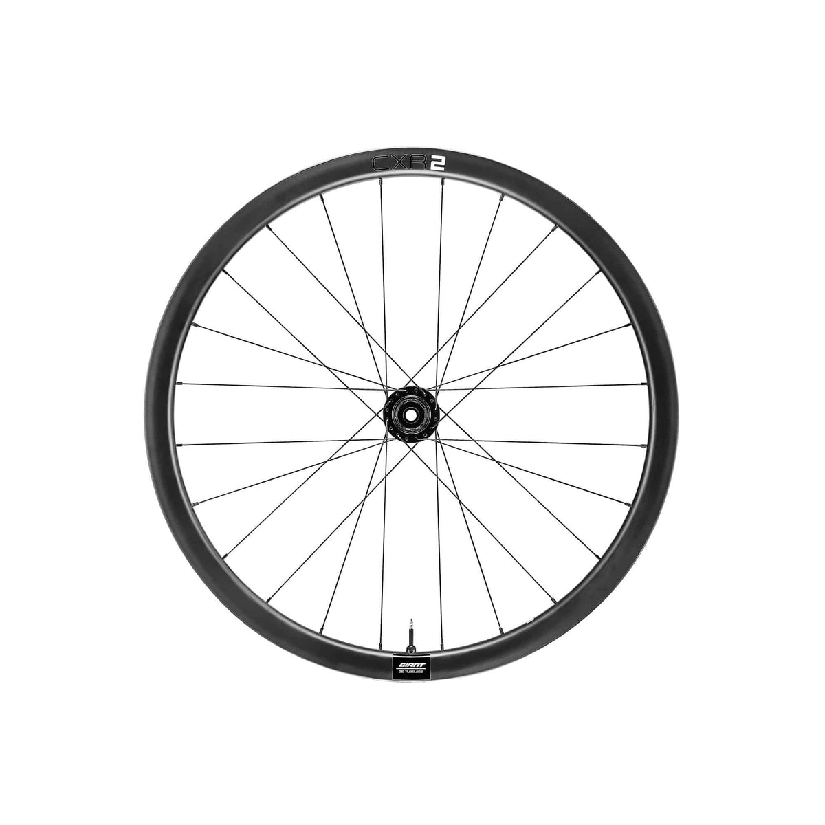 Giant CXR 2 gravel bike wheel with hookless rim technology designed for tubeless tires, showcasing durable component details.