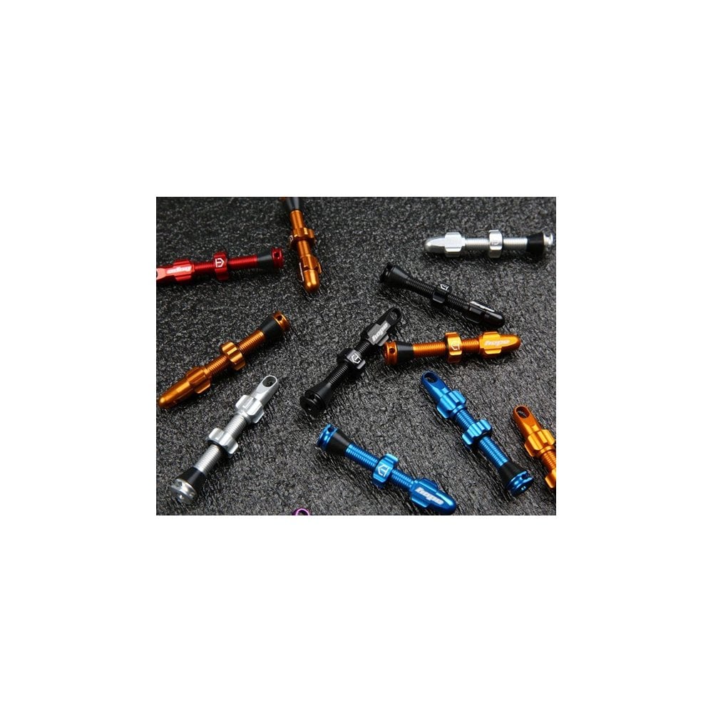 Hope Tubeless Valve Pair Tubeless