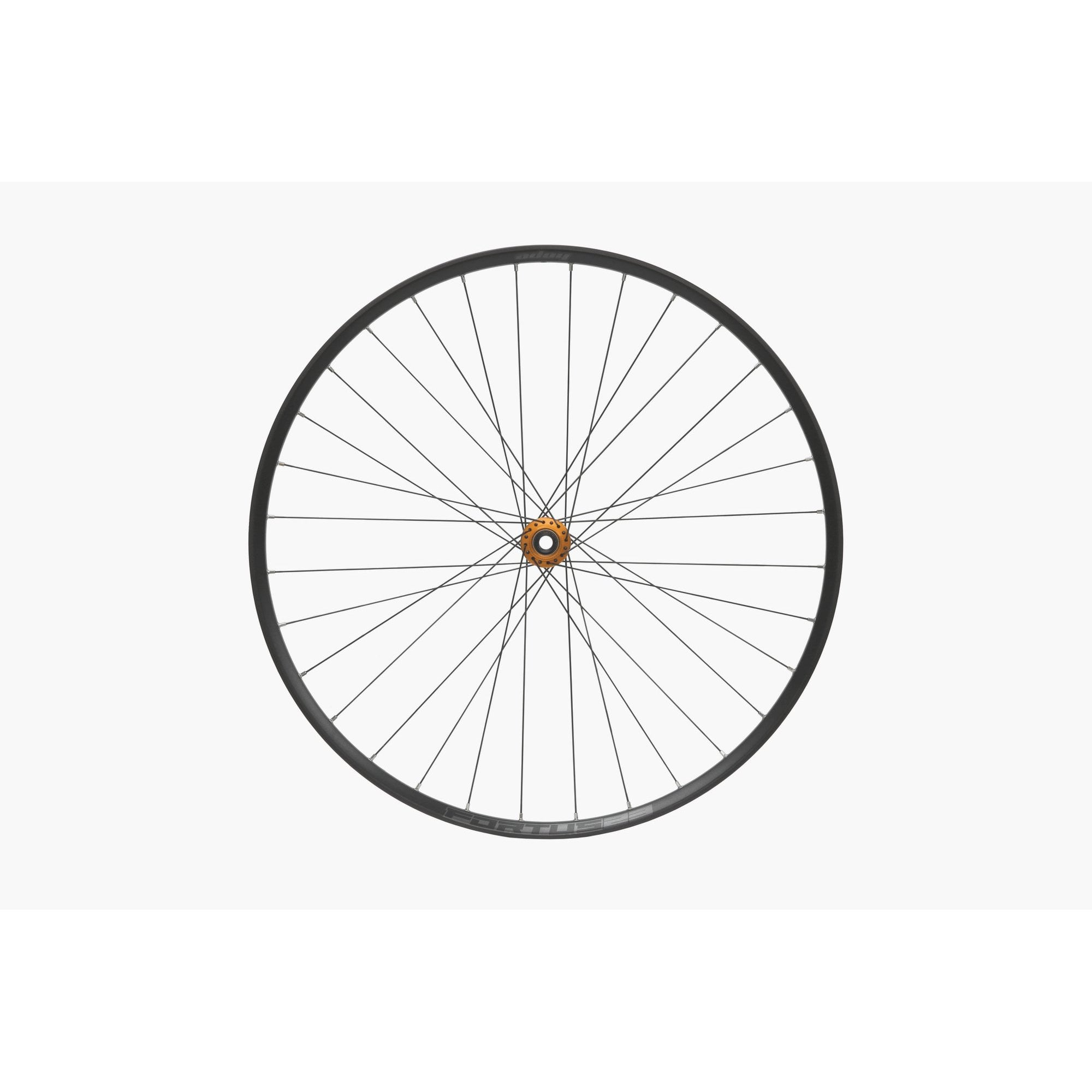 Hope Front 29Er Fortus 23W Front Wheel