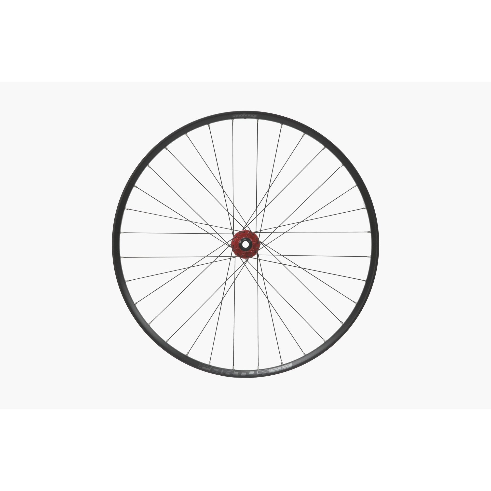 Hope Front 29Er Fortus 23W Front Wheel