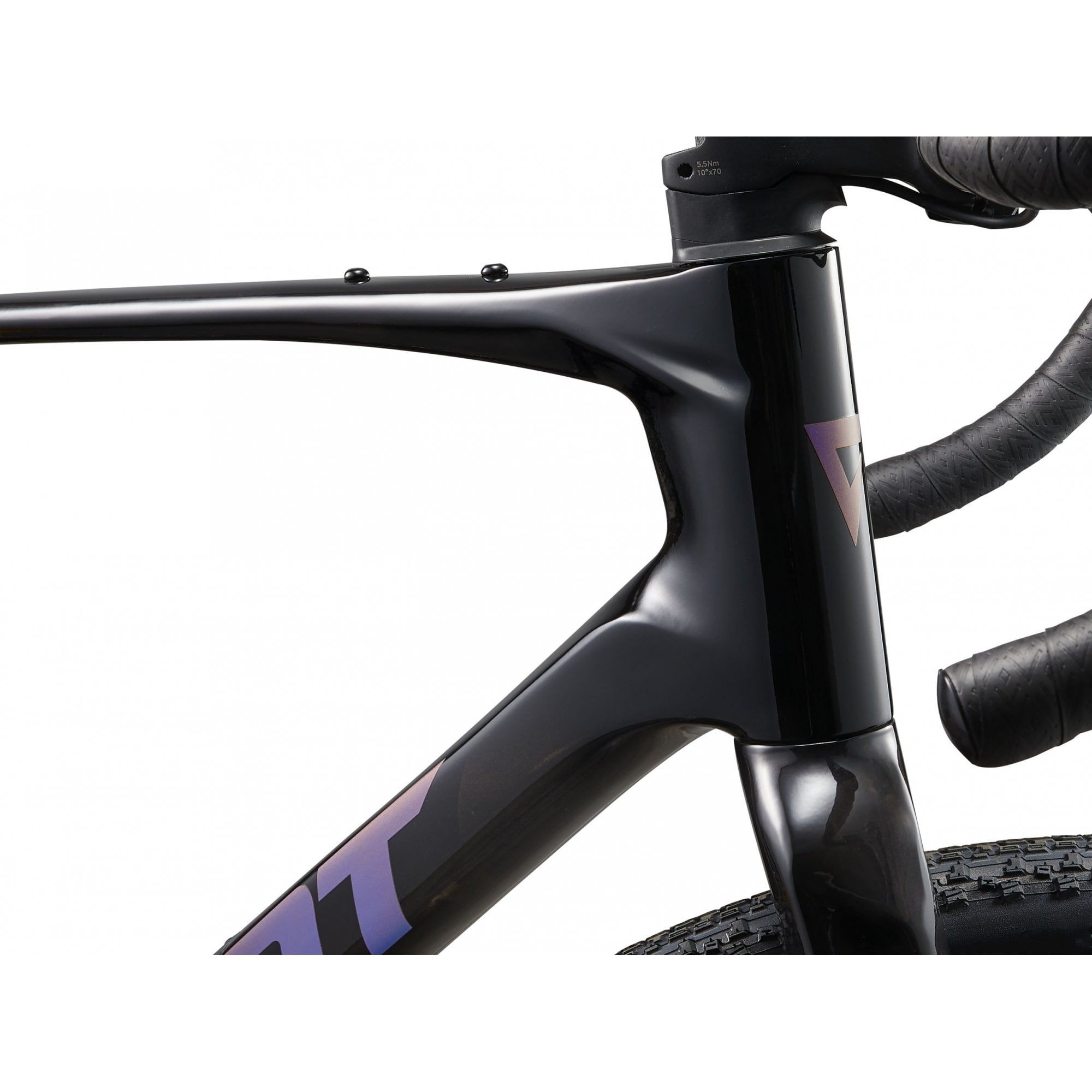 Giant Revolt Advanced 2 Gravel Bike