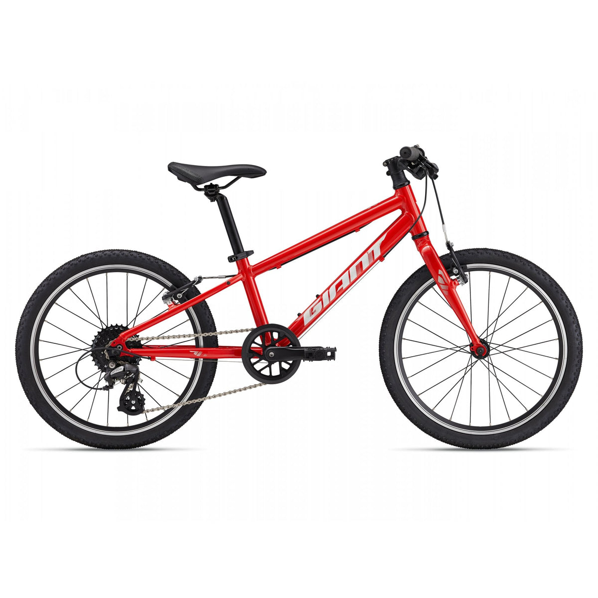 Giant ARX 20 Childs Bike