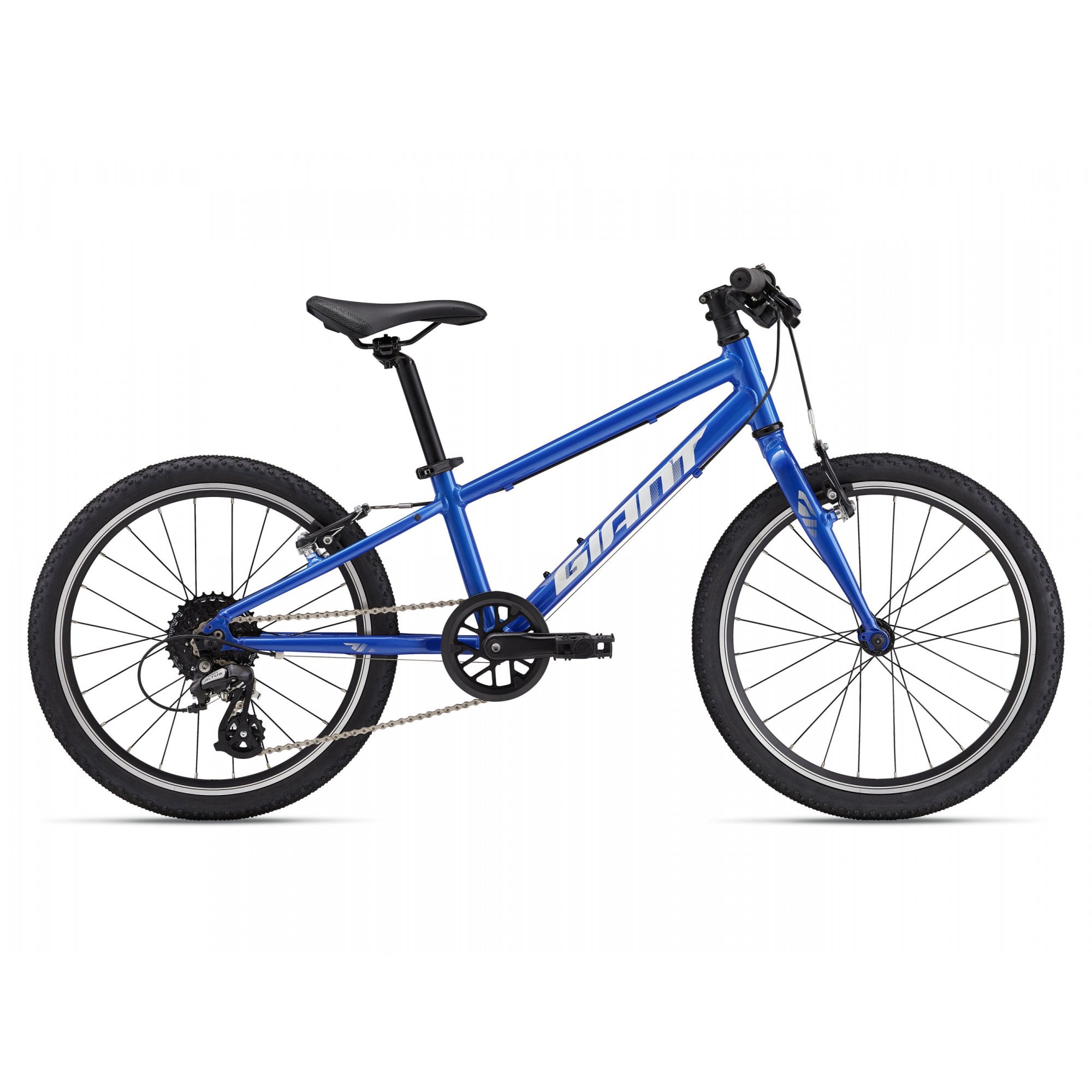 Giant ARX 20 Childs Bike