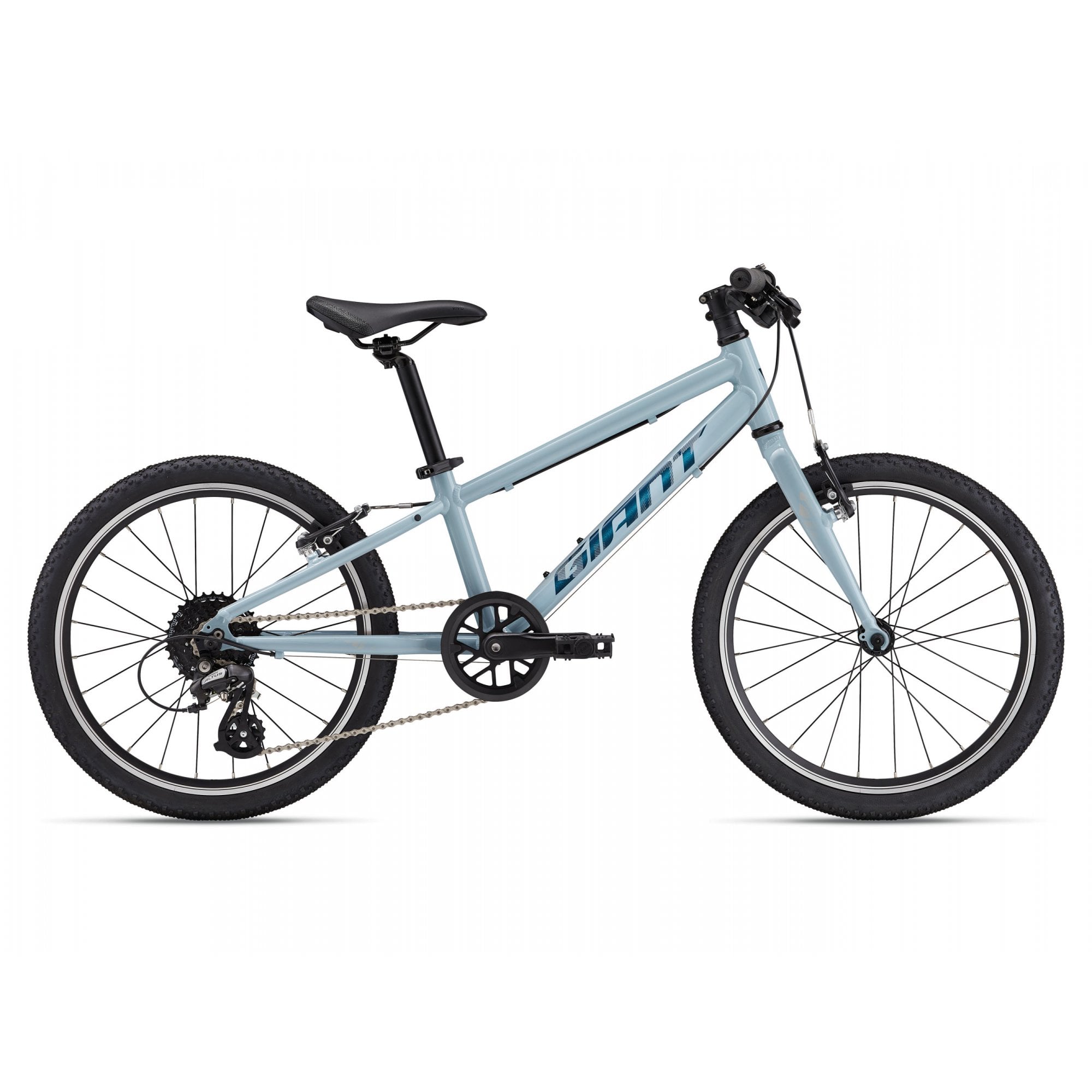 Giant ARX 20 Childs Bike