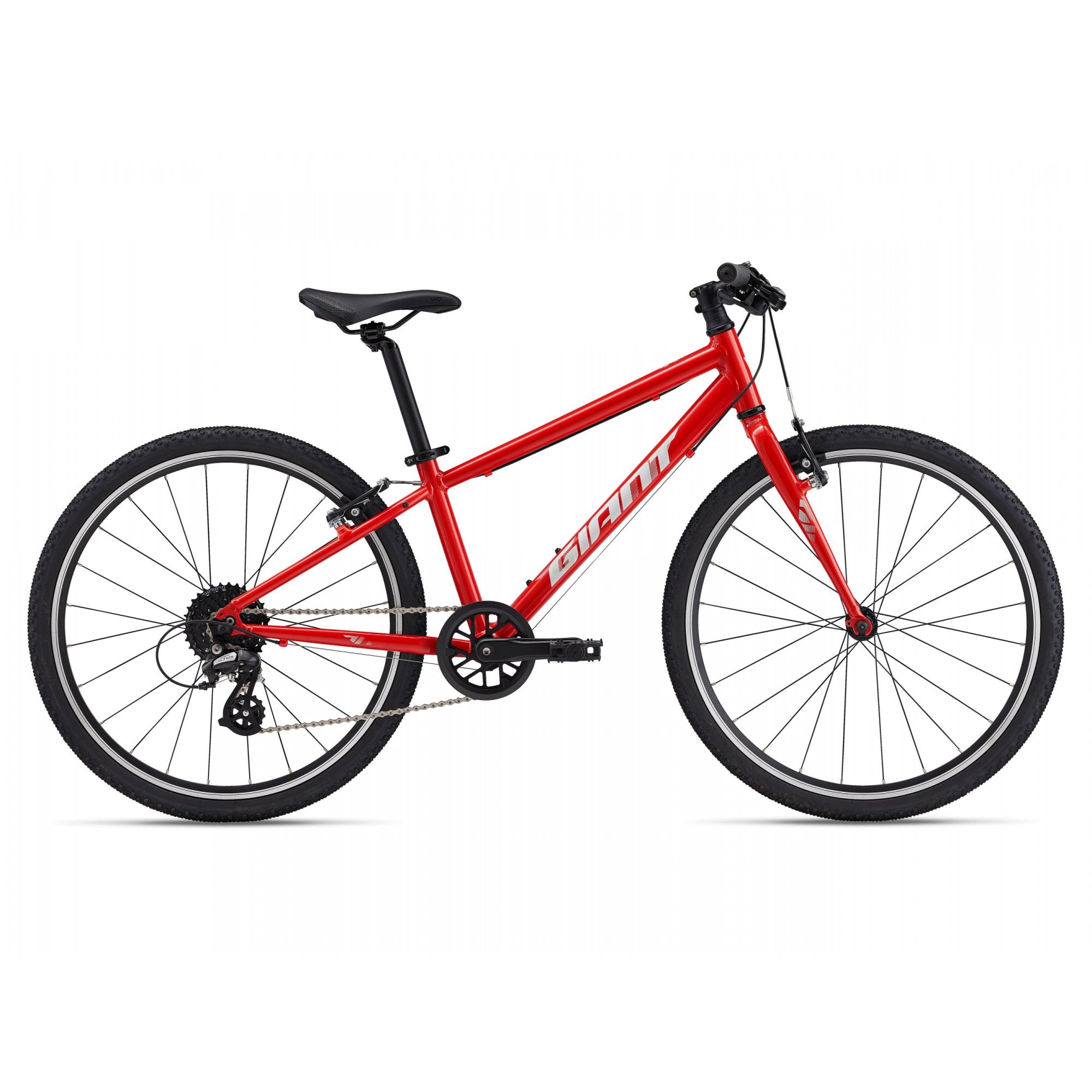 Giant ARX 24 Childs Bike