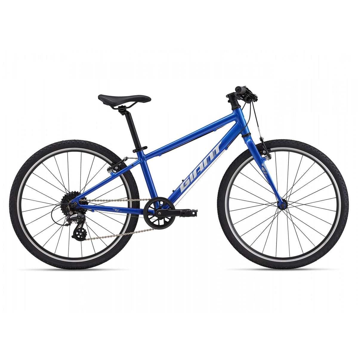Giant ARX 24 Childs Bike